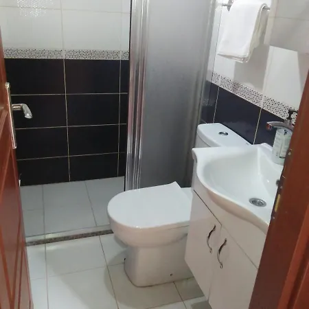 غوكوساجي أبارت 4*