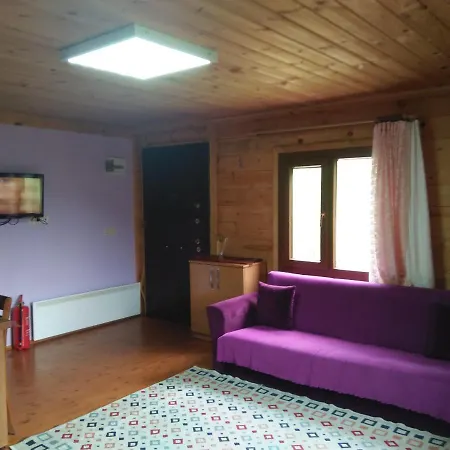 Apart Otel Gokkusagi Apart 4*